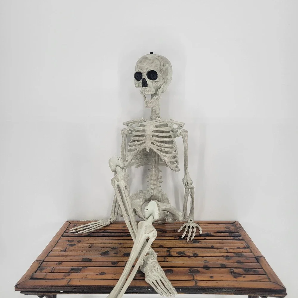 33 Inch Hanging Halloween Skeleton Prop Poseable Realistic Plastic Decor